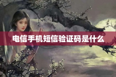 电信手机短信验证码是什么