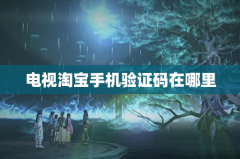 电视淘宝手机验证码在哪里