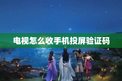 电视怎么收手机投屏验证码