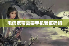 电信宽带需要手机验证码吗