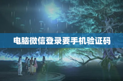电脑微信登录要手机验证码