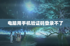 电脑用手机验证码登录不了