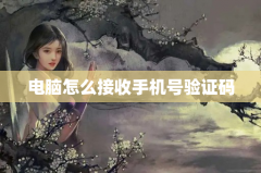 电脑怎么接收手机号验证码