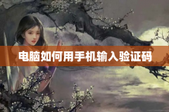 电脑如何用手机输入验证码