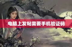 电脑上发帖需要手机验证码