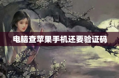 电脑查苹果手机还要验证码