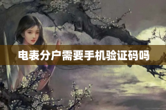 电表分户需要手机验证码吗