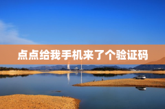 点点给我手机来了个验证码