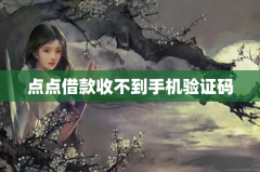 点点借款收不到手机验证码