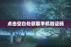 点击空白处获取手机验证码