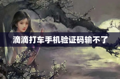 滴滴打车手机验证码输不了