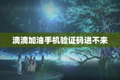 滴滴加油手机验证码进不来