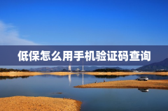 低保怎么用手机验证码查询