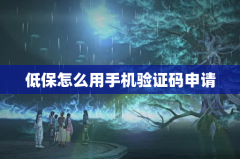 低保怎么用手机验证码申请