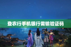 登农行手机银行需输验证码