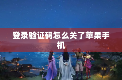 登录验证码怎么关了苹果手机