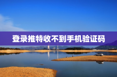 登录推特收不到手机验证码