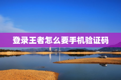 登录王者怎么要手机验证码
