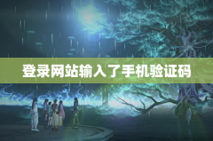 登录网站输入了手机验证码
