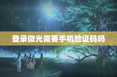 登录微光需要手机验证码吗