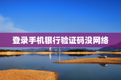 登录手机银行验证码没有网络保护